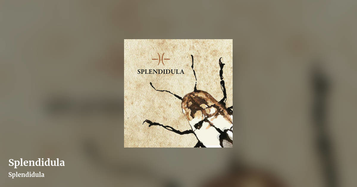 Splendidula by Splendidula, landscape clean share image