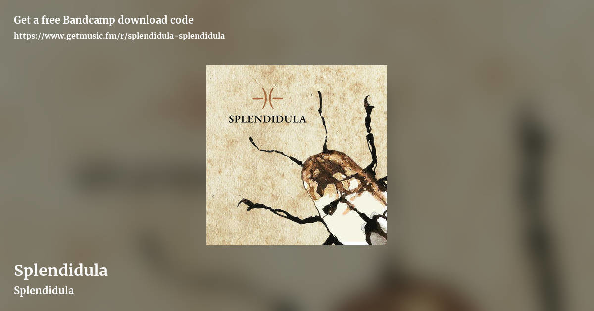 Splendidula by Splendidula, landscape promo share image