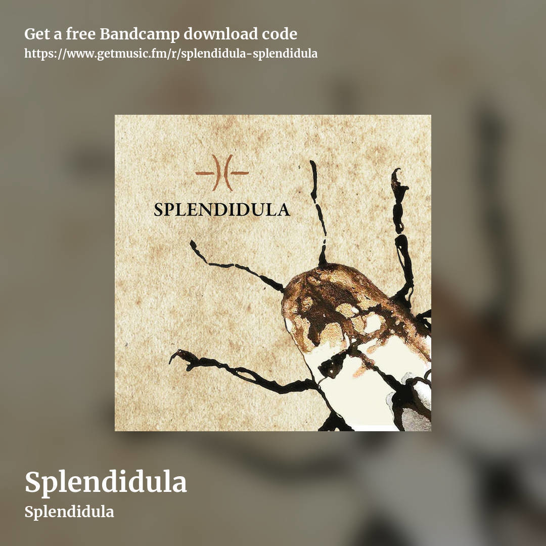 Splendidula by Splendidula, square promo share image
