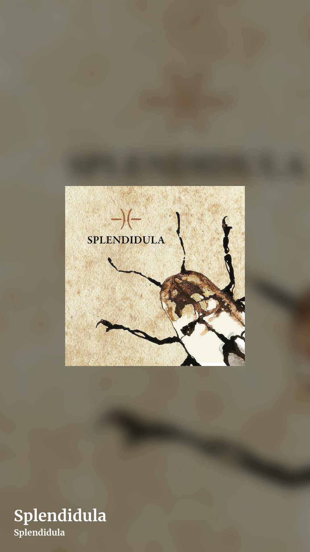 Splendidula by Splendidula, story clean share image