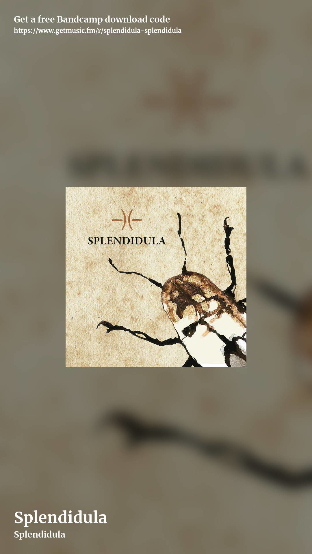 Splendidula by Splendidula, story promo share image