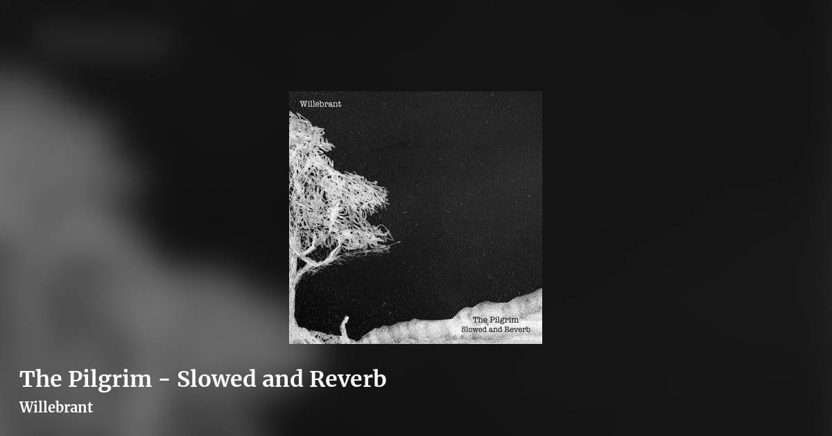 The Pilgrim - Slowed and Reverb by Willebrant, landscape clean share image