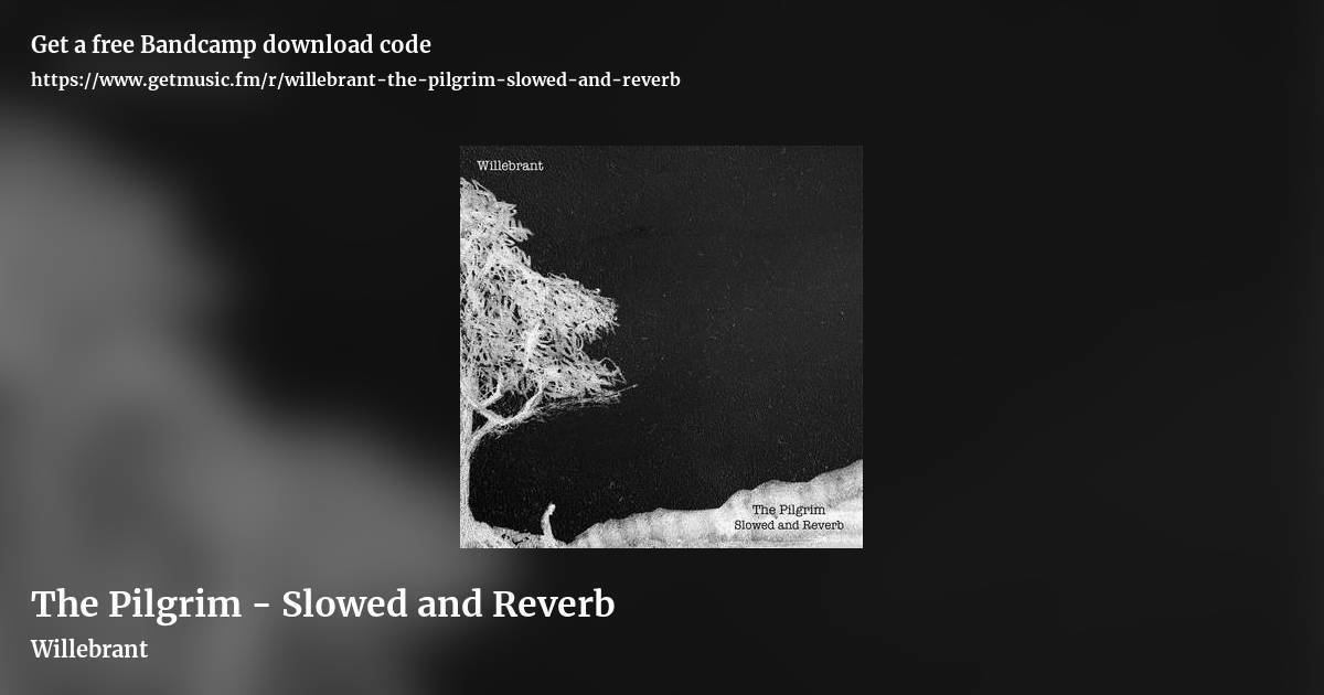 The Pilgrim - Slowed and Reverb by Willebrant, landscape promo share image