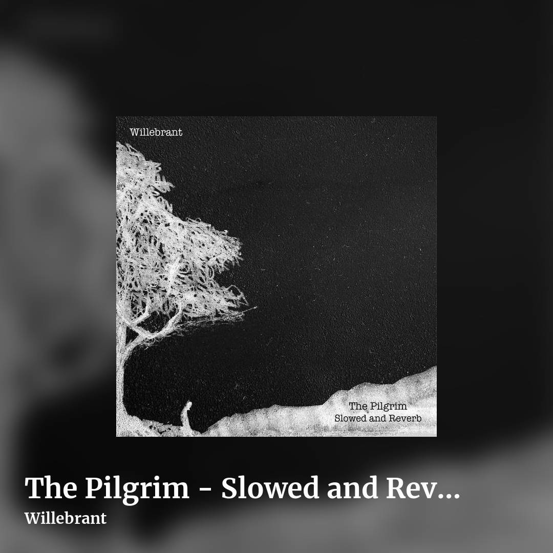 The Pilgrim - Slowed and Reverb by Willebrant, square clean share image