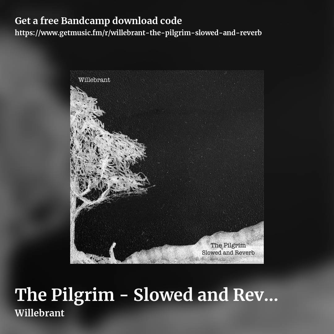 The Pilgrim - Slowed and Reverb by Willebrant, square promo share image