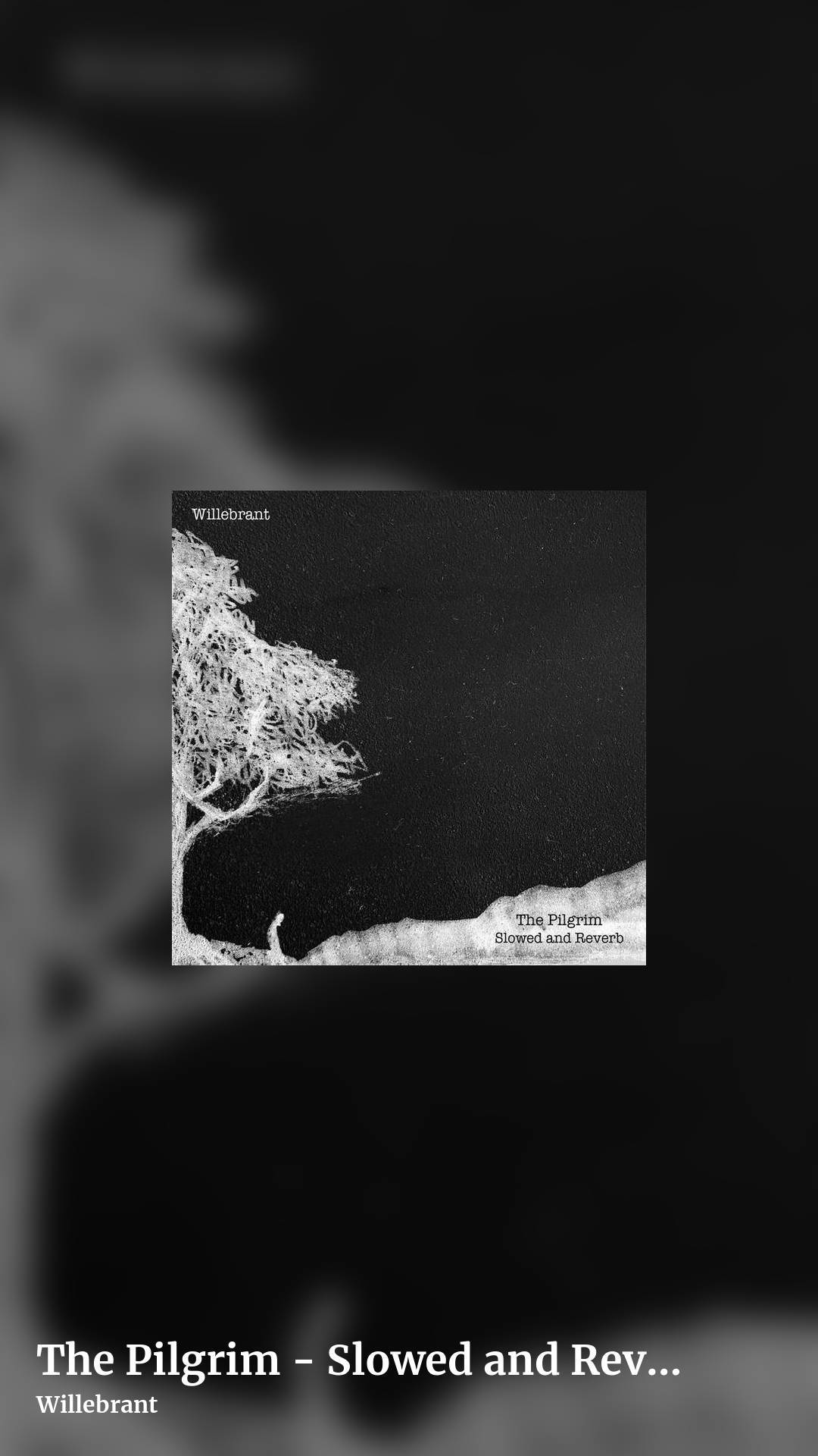 The Pilgrim - Slowed and Reverb by Willebrant, story clean share image