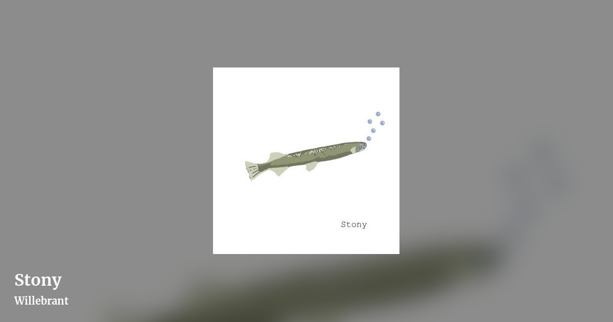 Stony by Willebrant, landscape clean share image