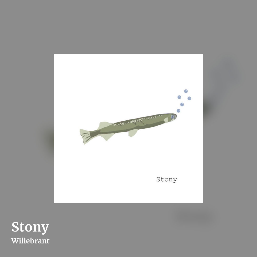 Stony by Willebrant, square clean share image