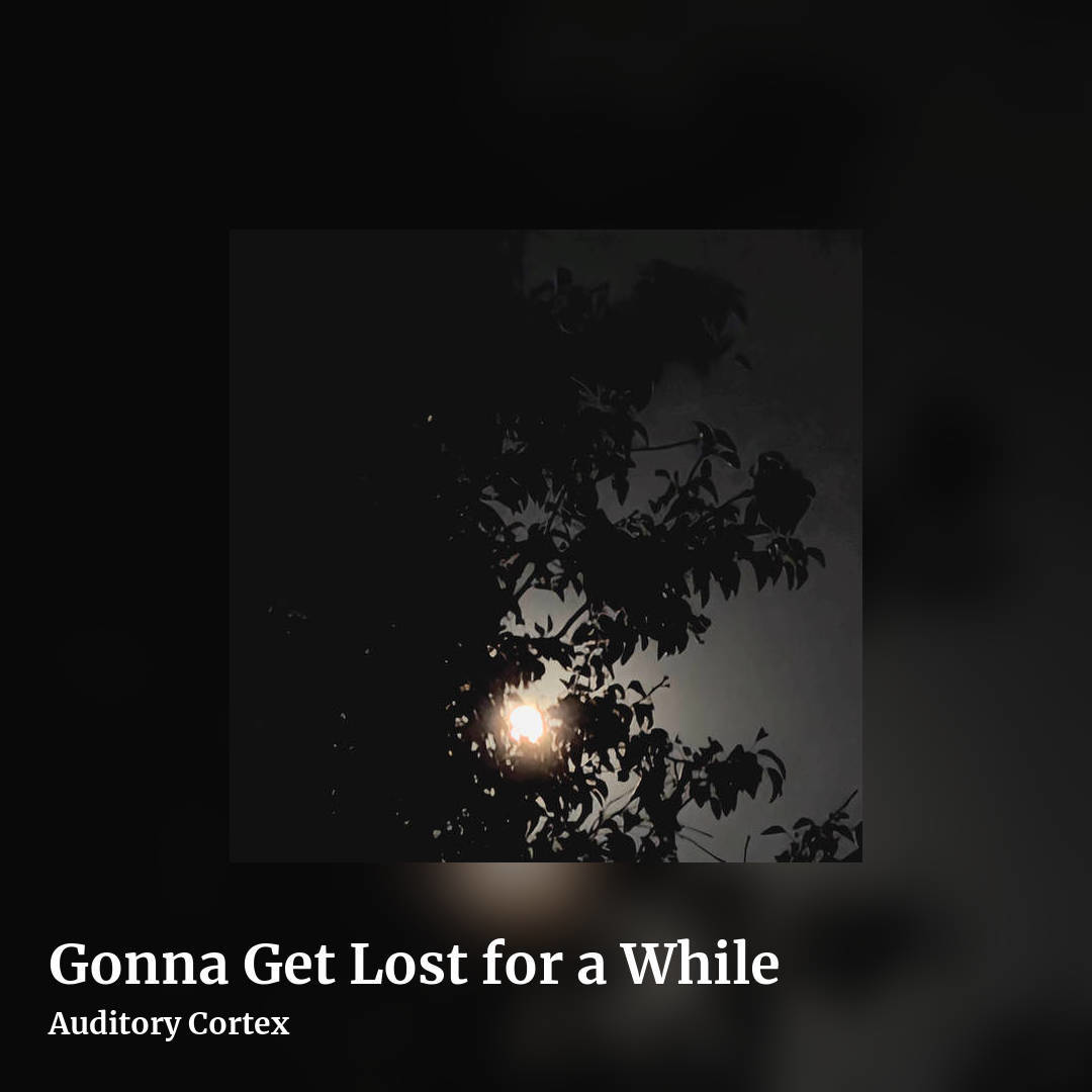 Gonna Get Lost for a While by Auditory Cortex, square clean share image