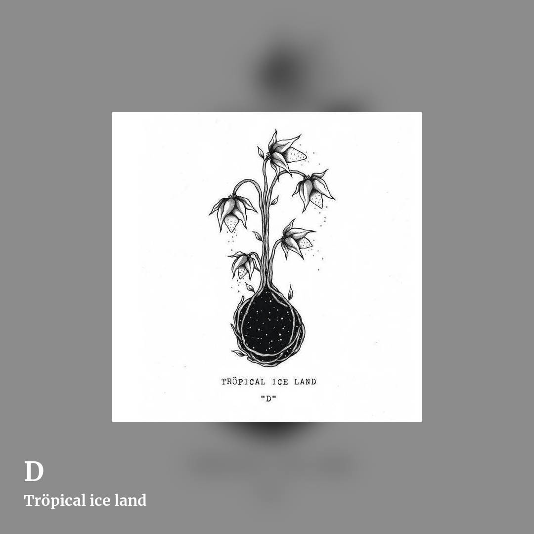 D by Tröpical ice land, square clean share image