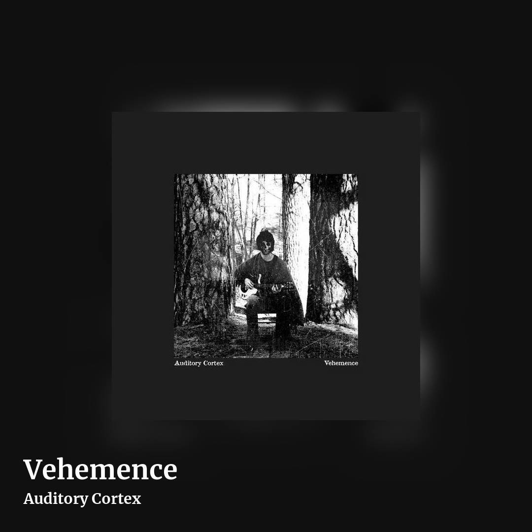 Vehemence by Auditory Cortex, square clean share image
