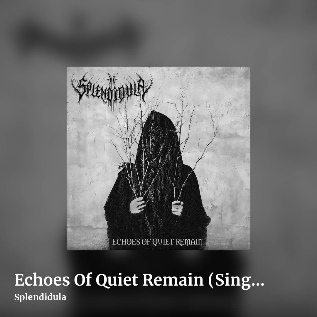 Echoes Of Quiet Remain (Single) by Splendidula, square clean share image