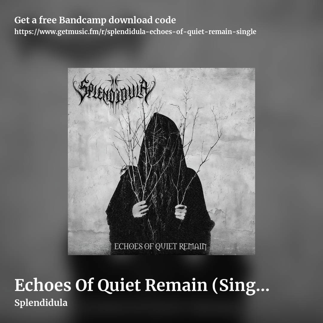 Echoes Of Quiet Remain (Single) by Splendidula, square promo share image