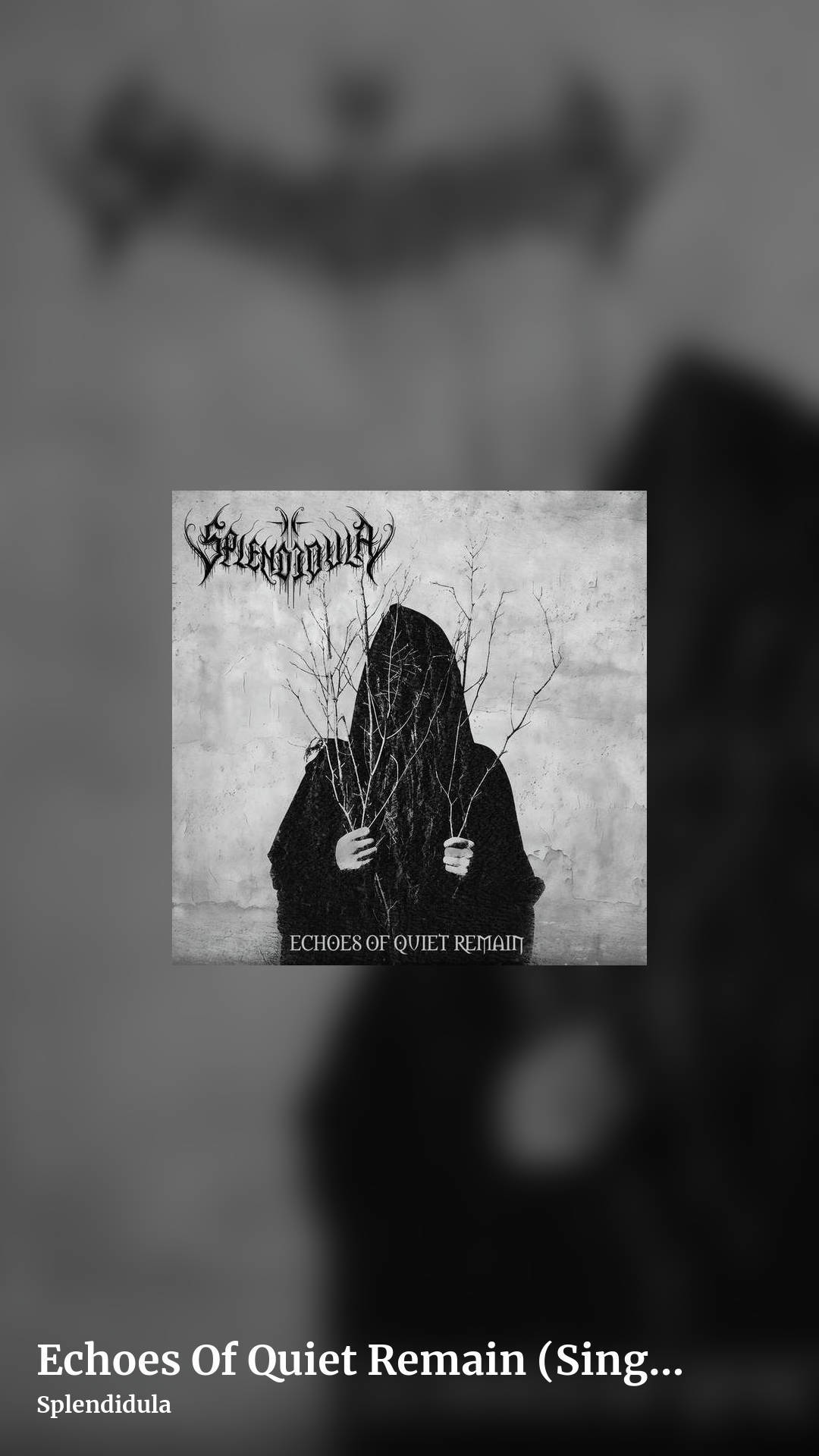 Echoes Of Quiet Remain (Single) by Splendidula, story clean share image