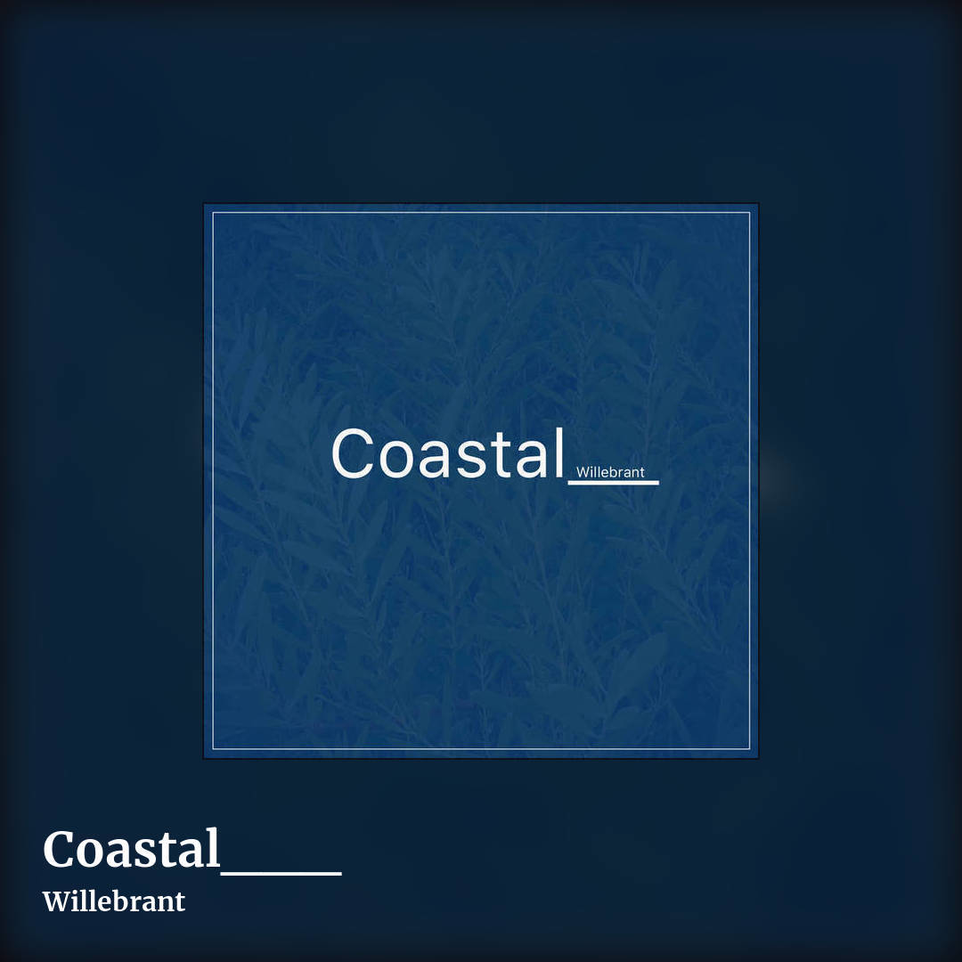 Coastal___ by Willebrant, square clean share image