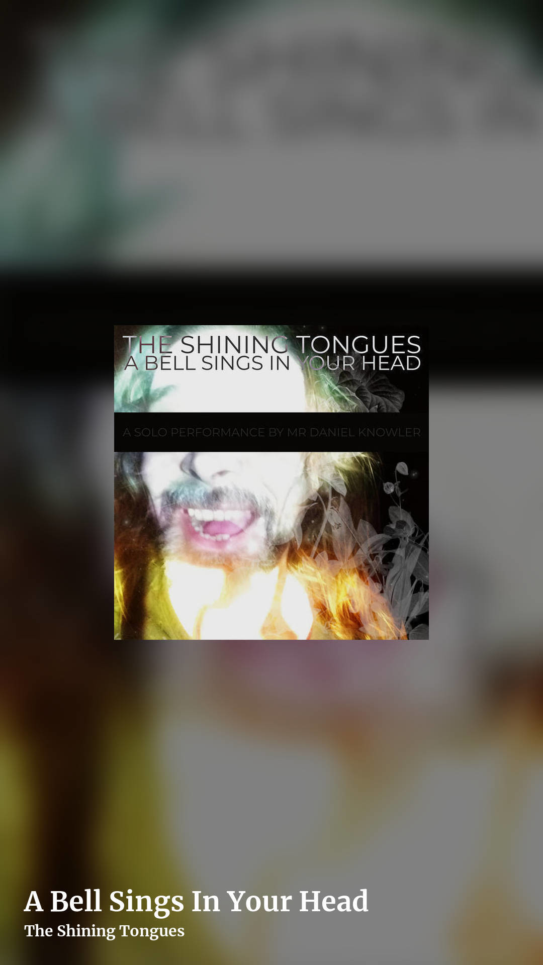 A Bell Sings In Your Head by The Shining Tongues, story clean share image