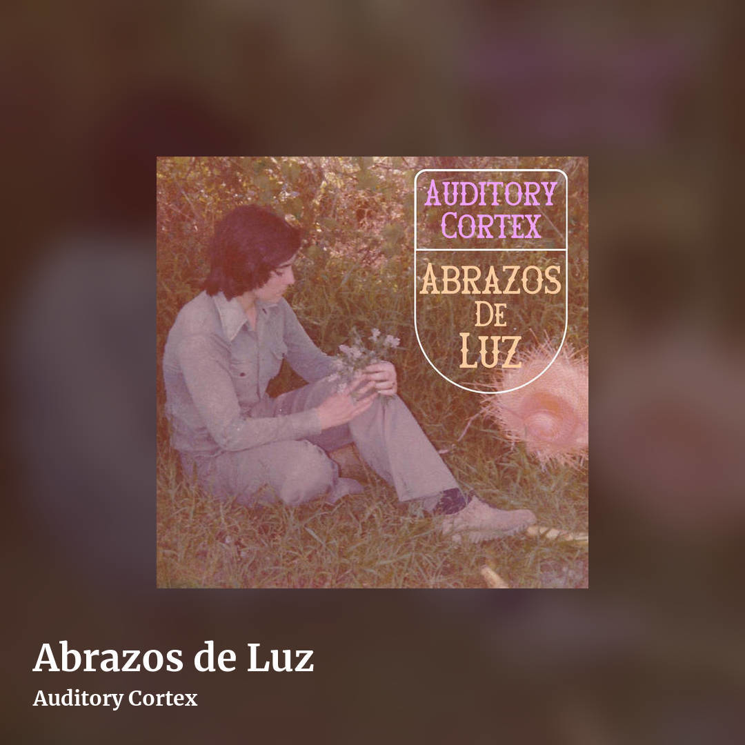 Abrazos de Luz by Auditory Cortex, square clean share image