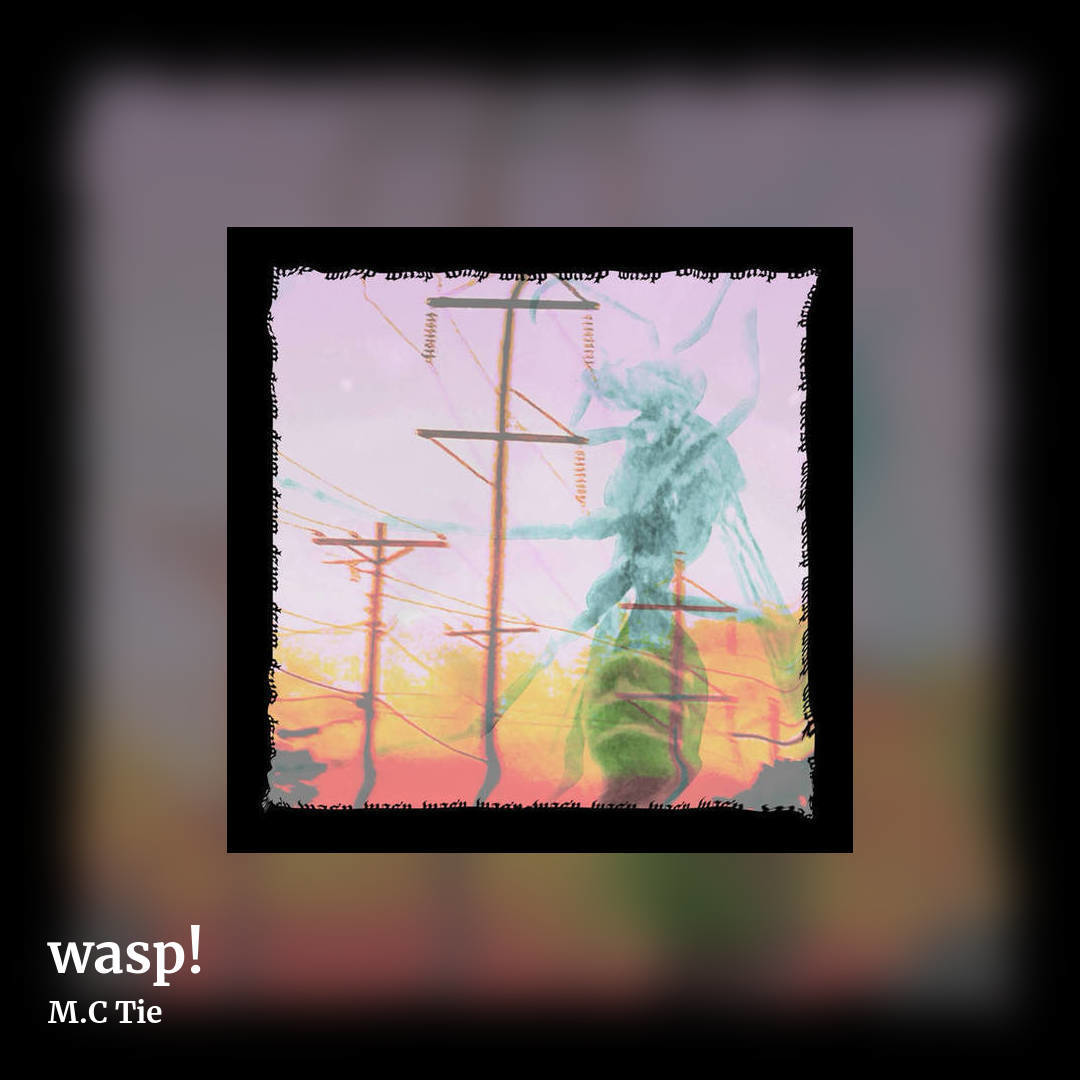 wasp! by M.C Tie, square clean share image