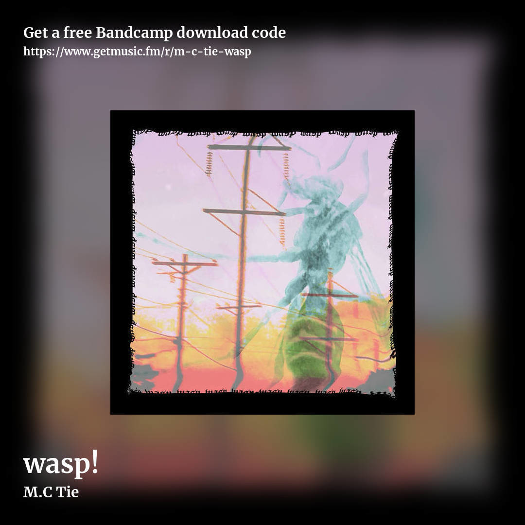 wasp! by M.C Tie, square promo share image