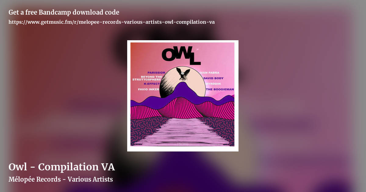 Owl - Compilation VA by Mélopée Records - Various Artists, landscape promo share image