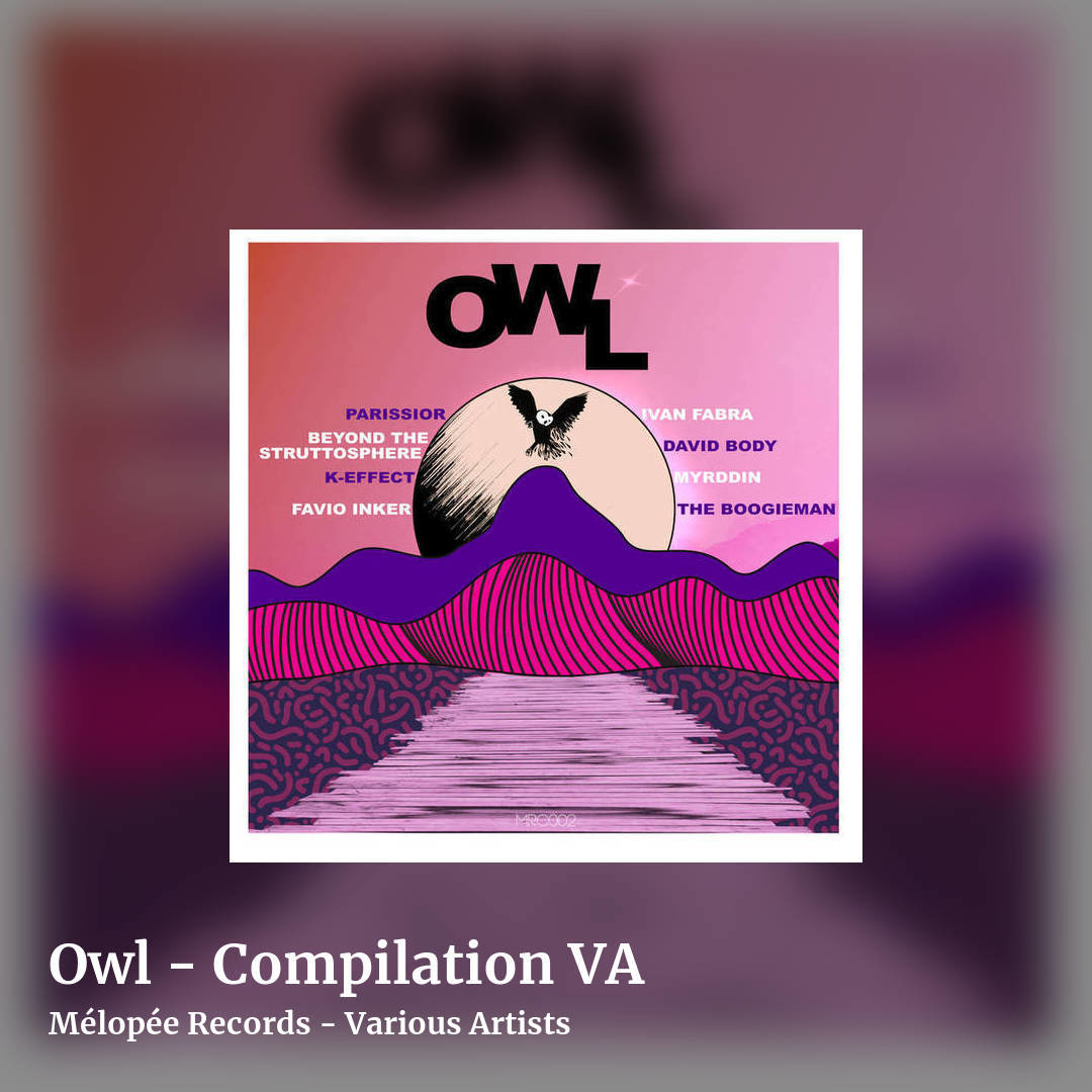 Owl - Compilation VA by Mélopée Records - Various Artists, square clean share image