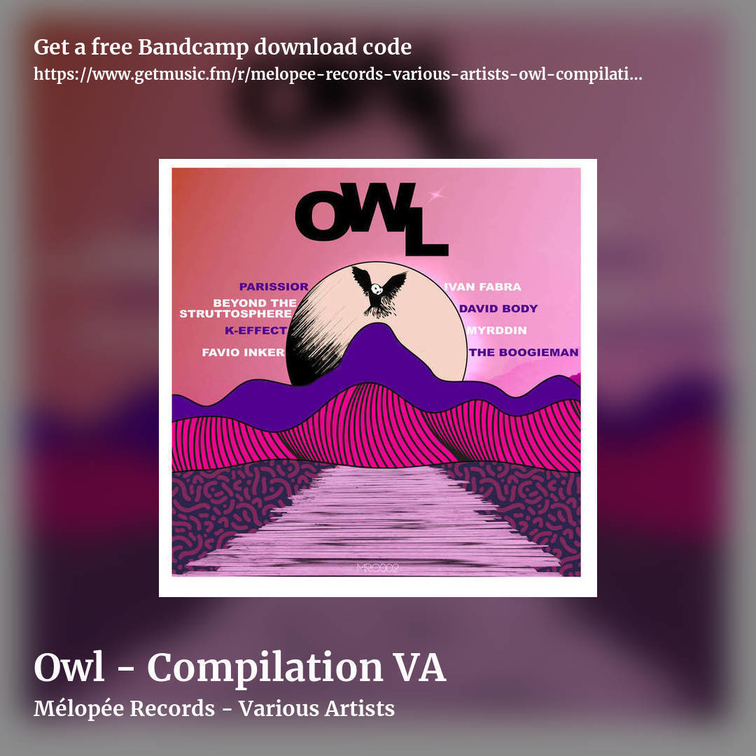 Owl - Compilation VA by Mélopée Records - Various Artists, square promo share image