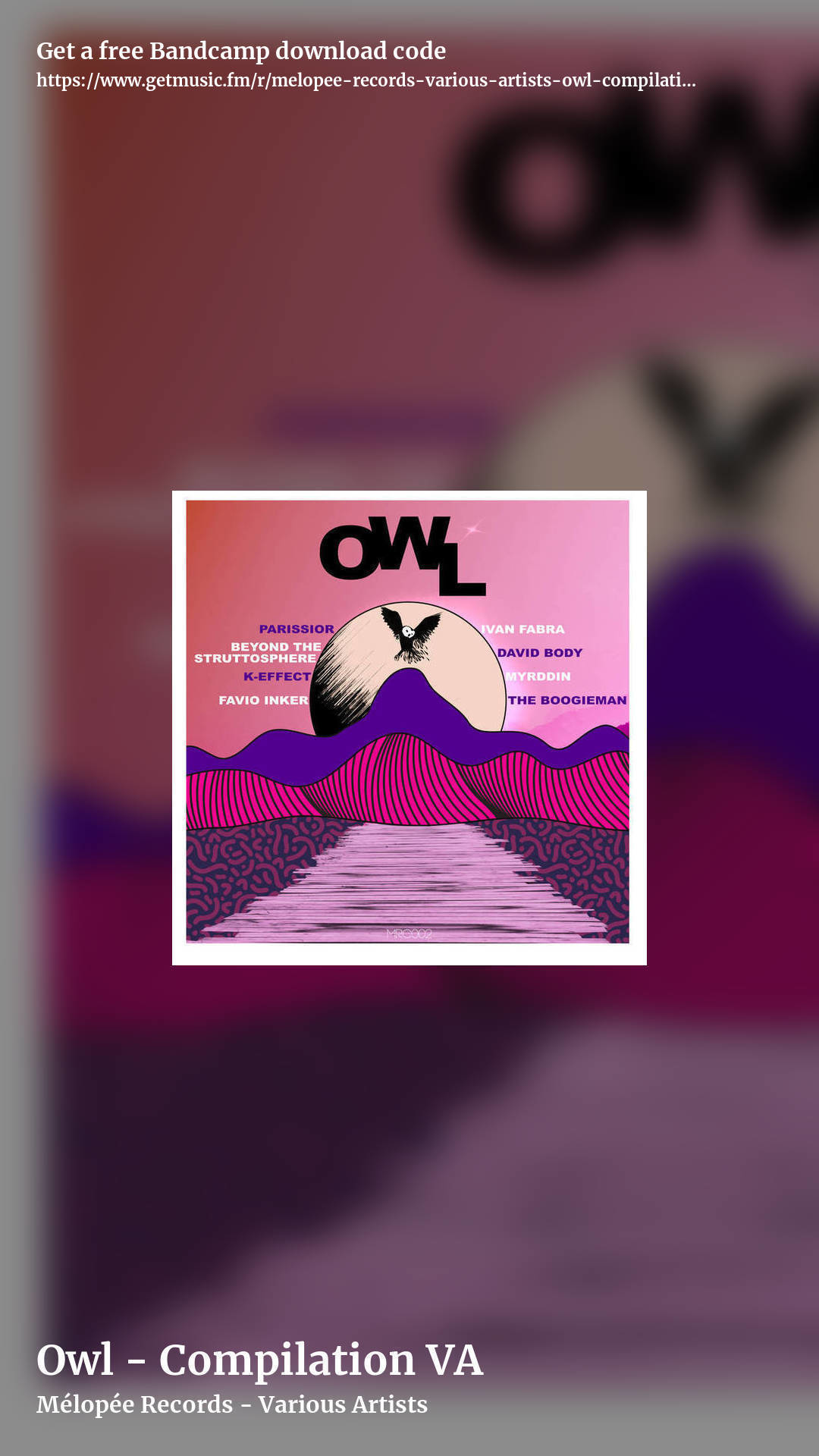 Owl - Compilation VA by Mélopée Records - Various Artists, story promo share image