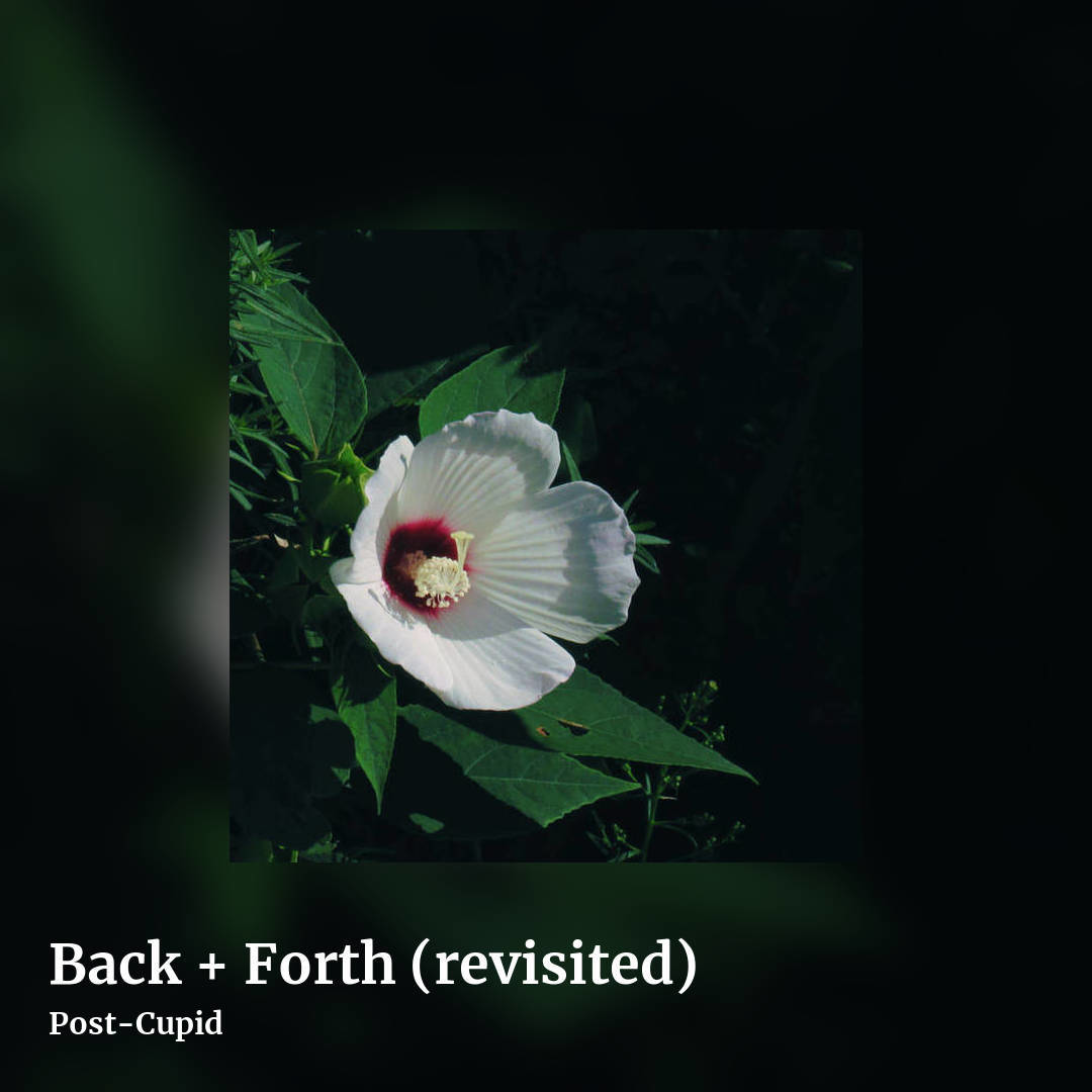 Back + Forth (revisited) by Post-Cupid, square clean share image