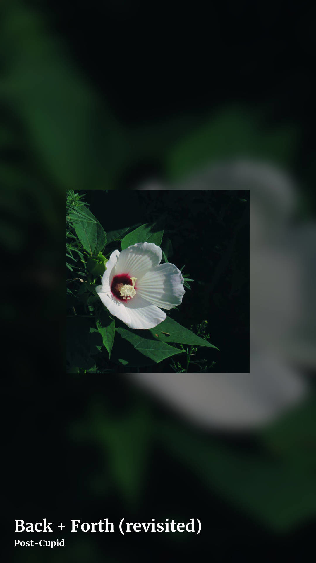 Back + Forth (revisited) by Post-Cupid, story clean share image