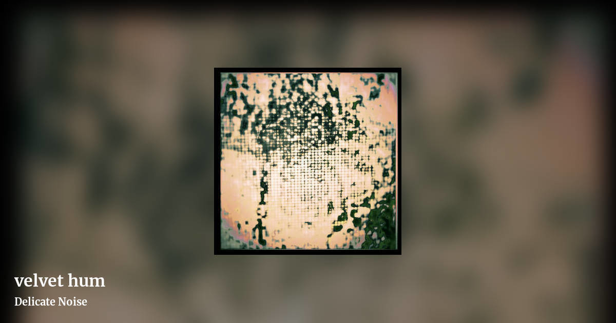 velvet hum by Delicate Noise, landscape clean share image