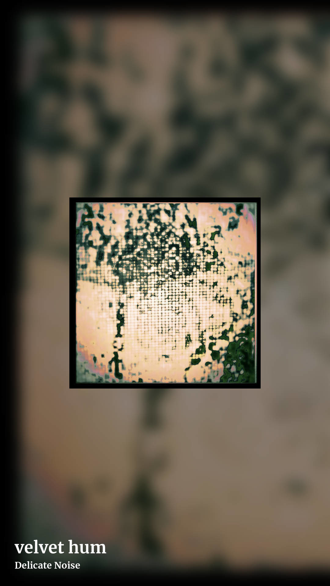velvet hum by Delicate Noise, story clean share image