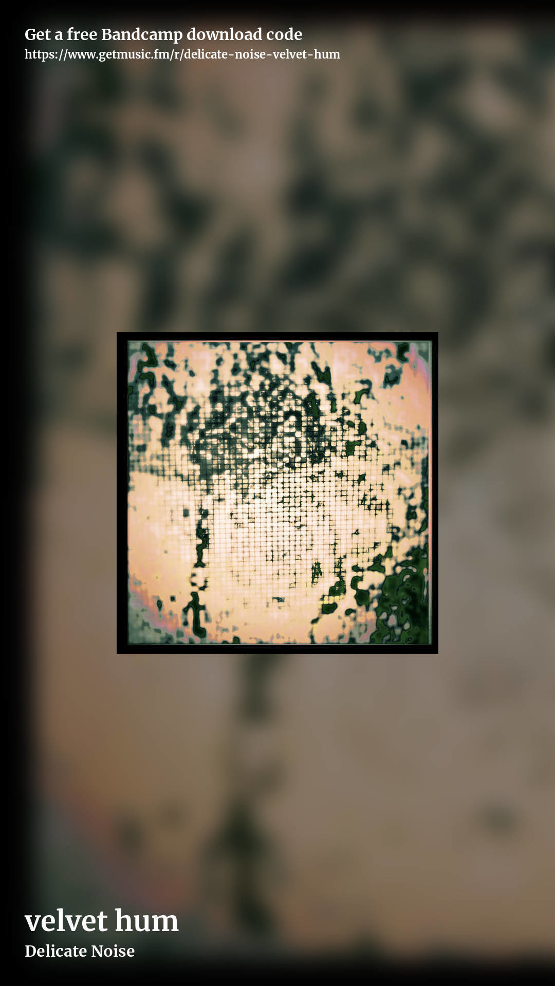 velvet hum by Delicate Noise, story promo share image
