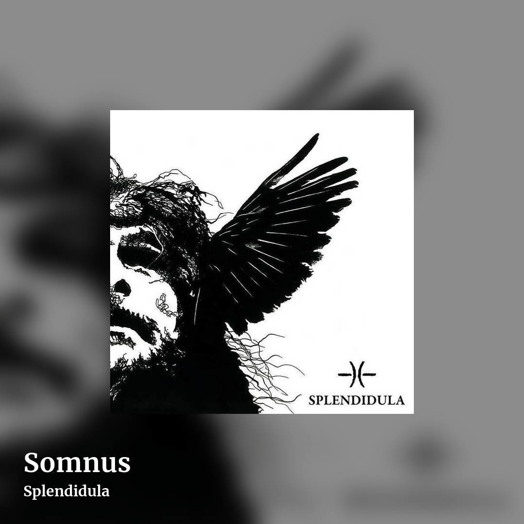 Somnus by Splendidula, square clean share image