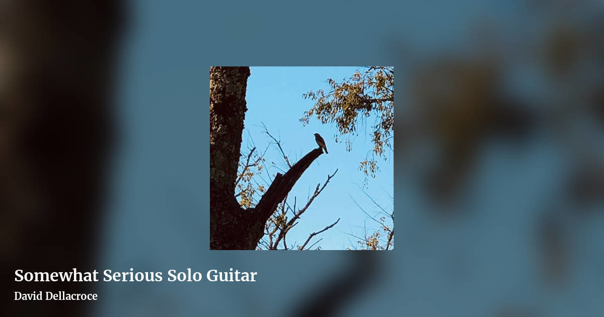 Somewhat Serious Solo Guitar by David Dellacroce, landscape clean share image