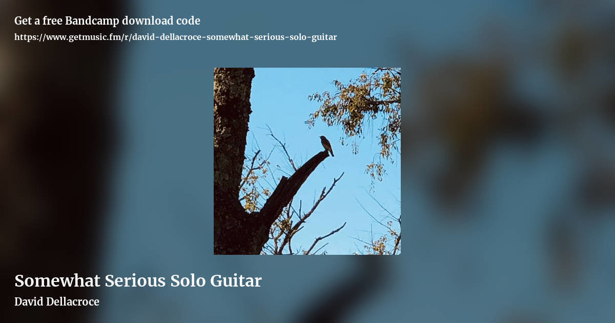Somewhat Serious Solo Guitar by David Dellacroce, landscape promo share image