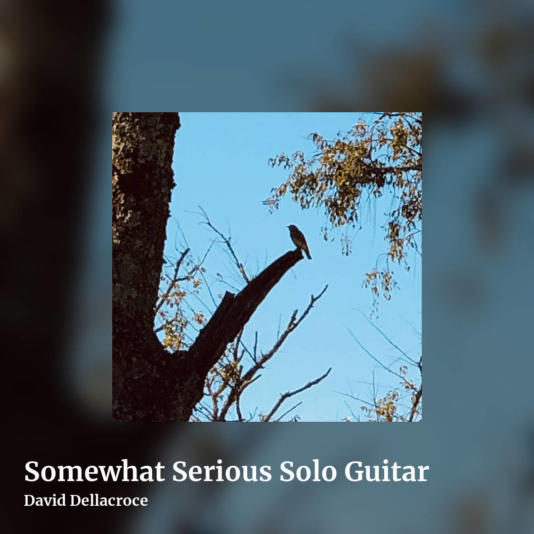 Somewhat Serious Solo Guitar by David Dellacroce, square clean share image