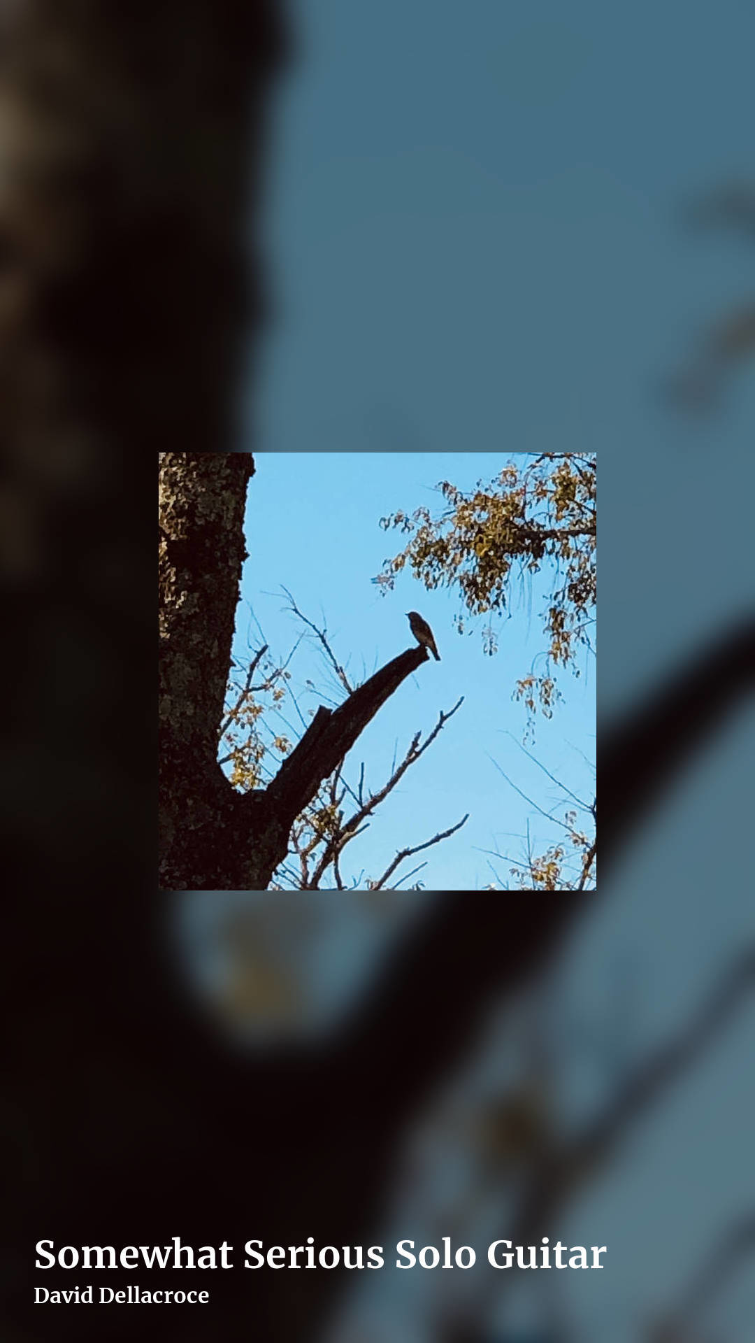 Somewhat Serious Solo Guitar by David Dellacroce, story clean share image