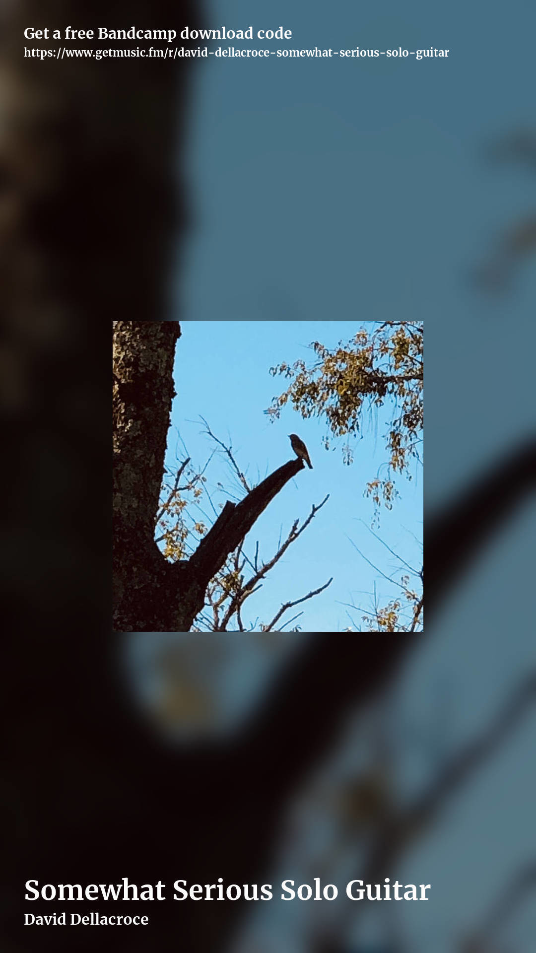 Somewhat Serious Solo Guitar by David Dellacroce, story promo share image