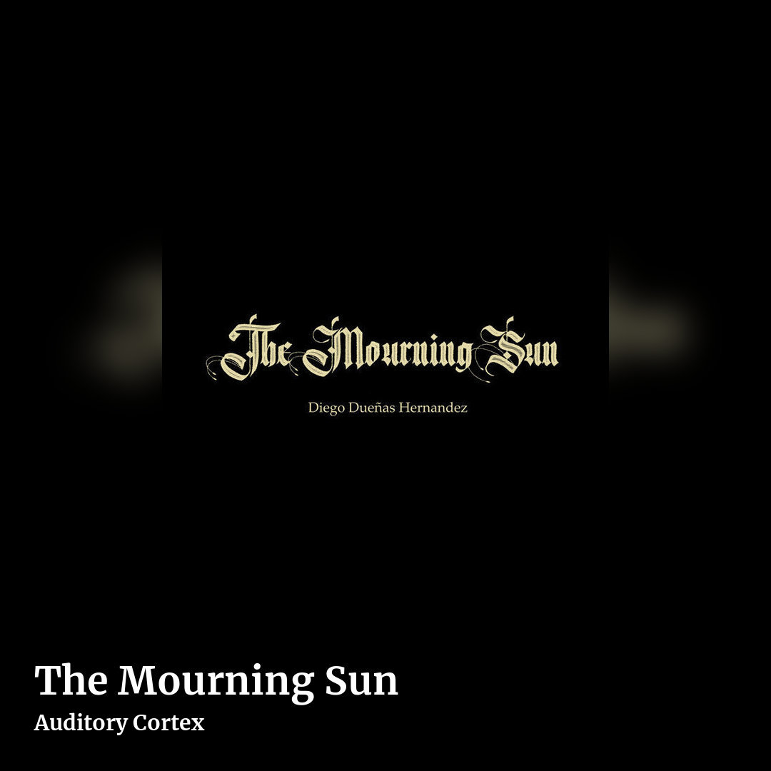 The Mourning Sun by Auditory Cortex, square clean share image