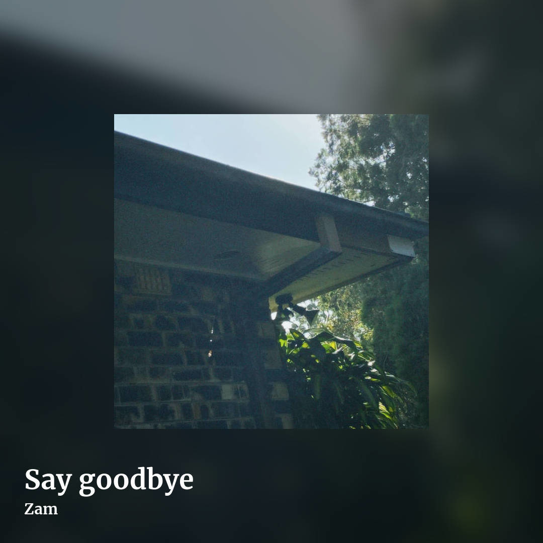 Say goodbye by Zam, square clean share image