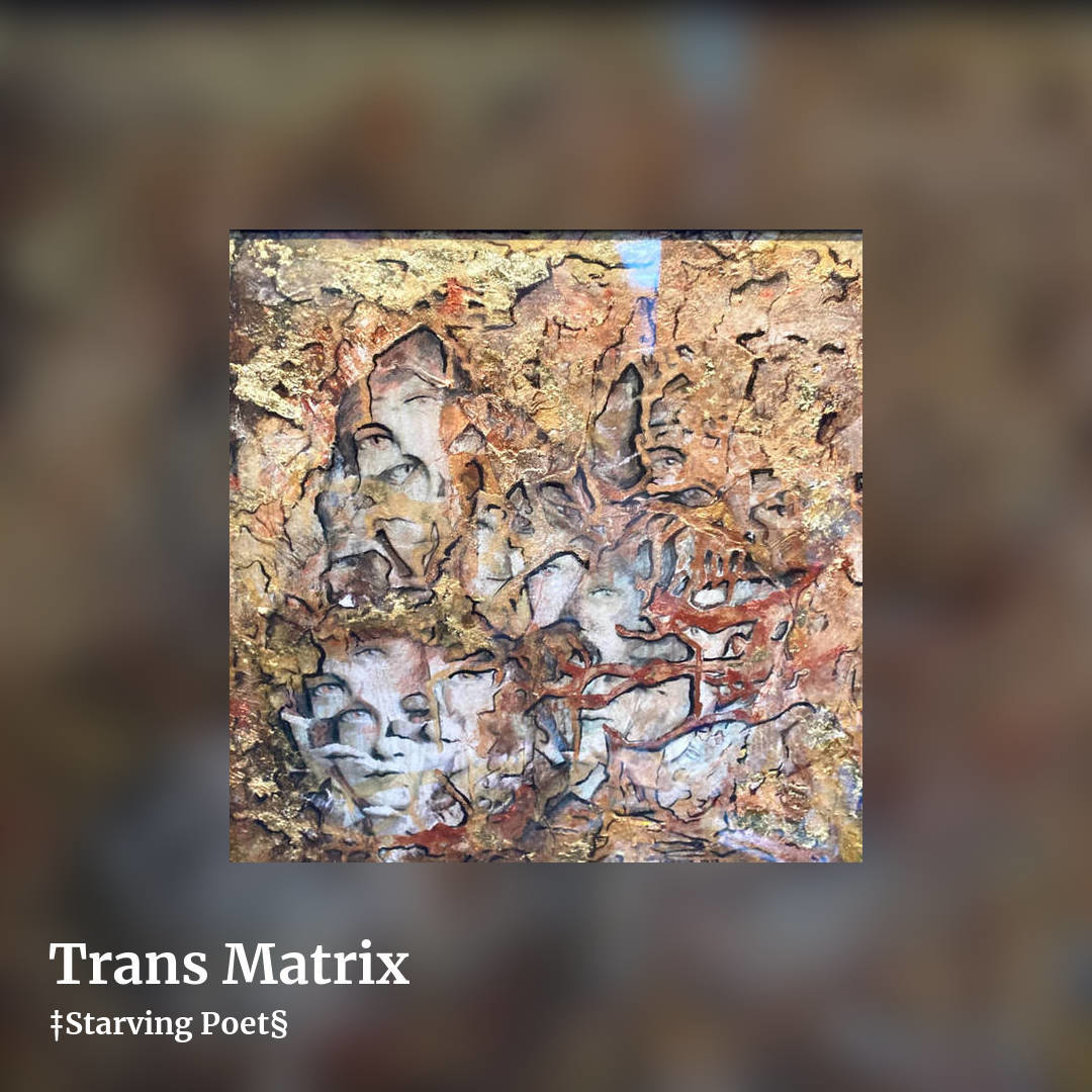 Trans Matrix by ‡Starving Poet§, square clean share image