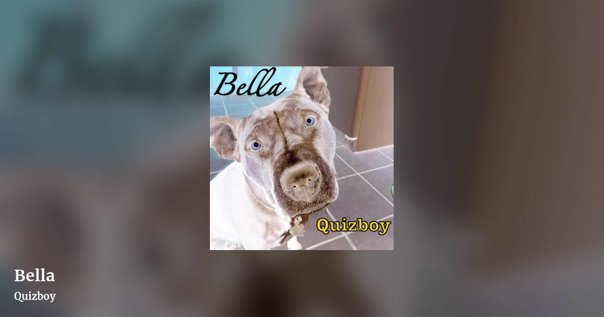 Bella by Quizboy, landscape clean share image