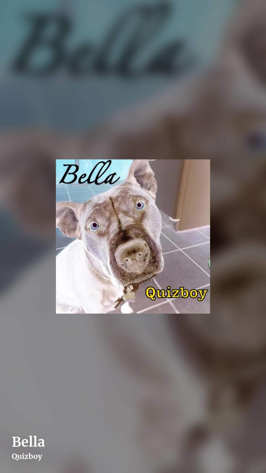Bella by Quizboy, story clean share image