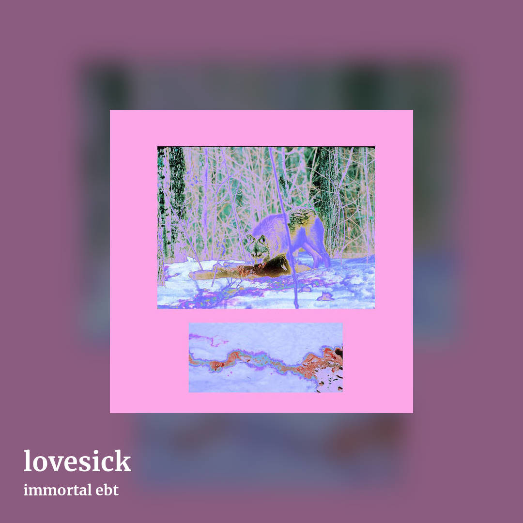 lovesick by immortal ebt, square clean share image