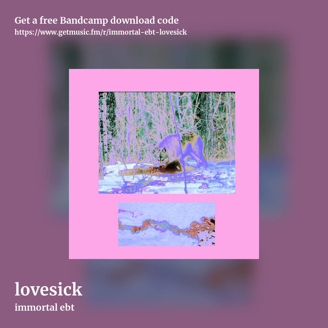 lovesick by immortal ebt, square promo share image