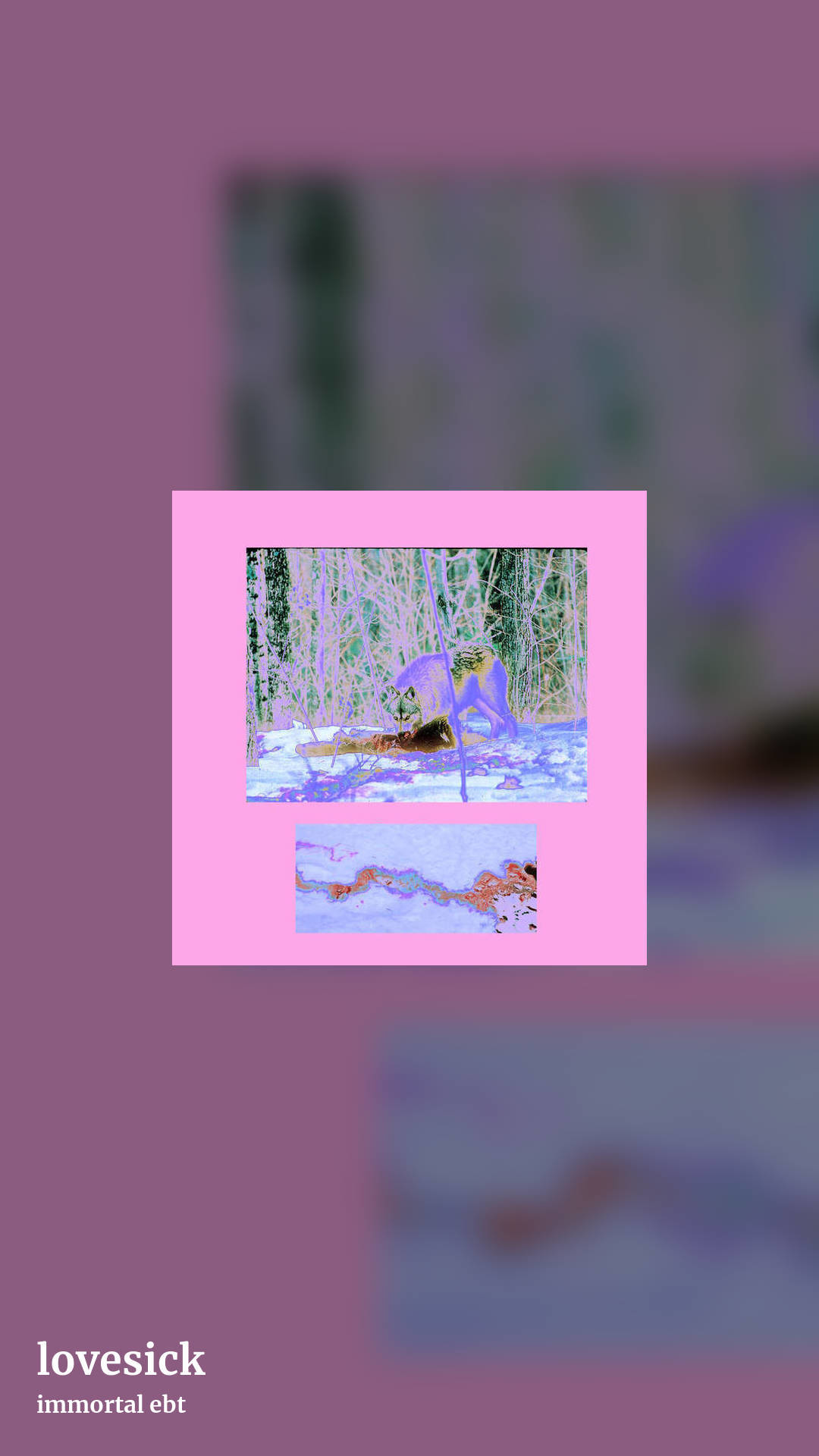 lovesick by immortal ebt, story clean share image
