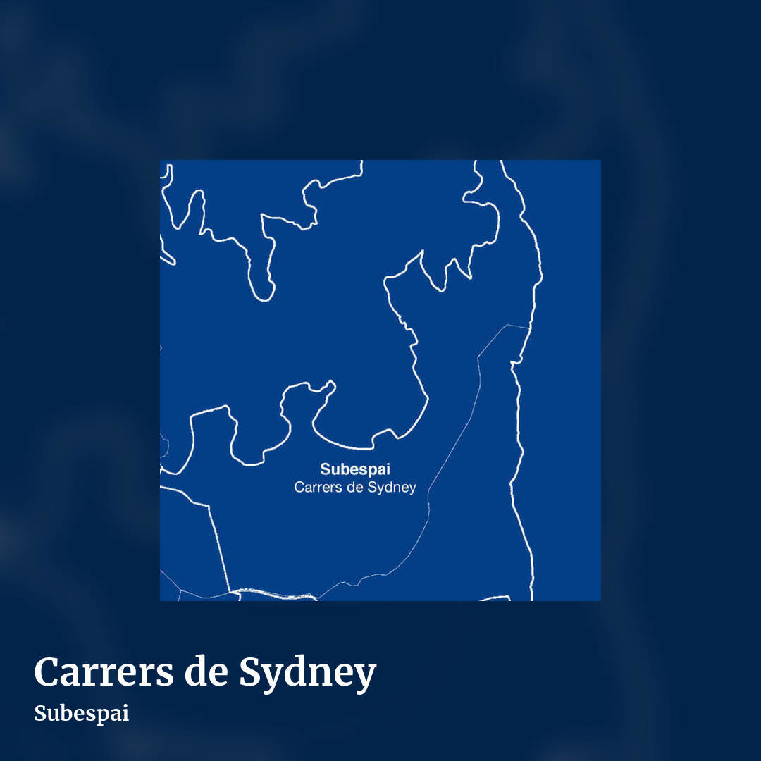 Carrers de Sydney by Subespai, square clean share image