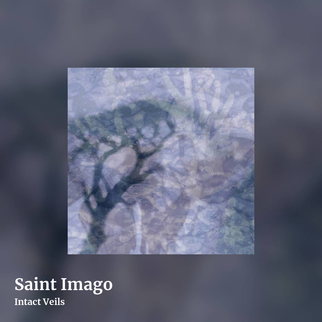 Saint Imago by Intact Veils, square clean share image