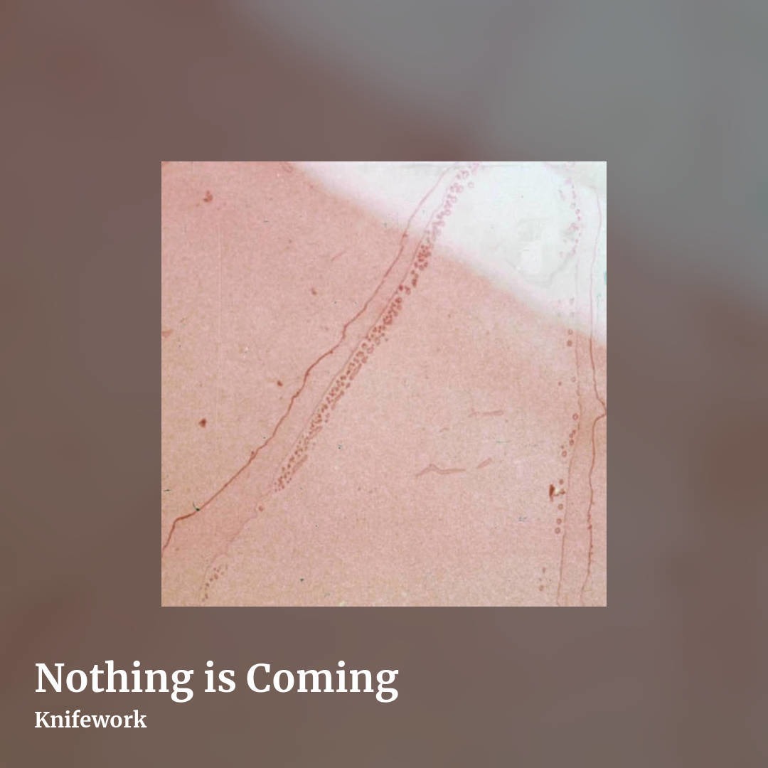 Nothing is Coming by Knifework, square clean share image