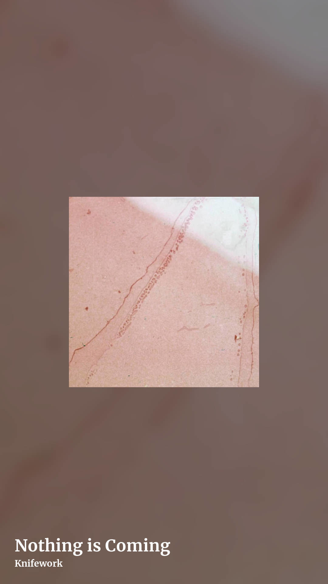 Nothing is Coming by Knifework, story clean share image